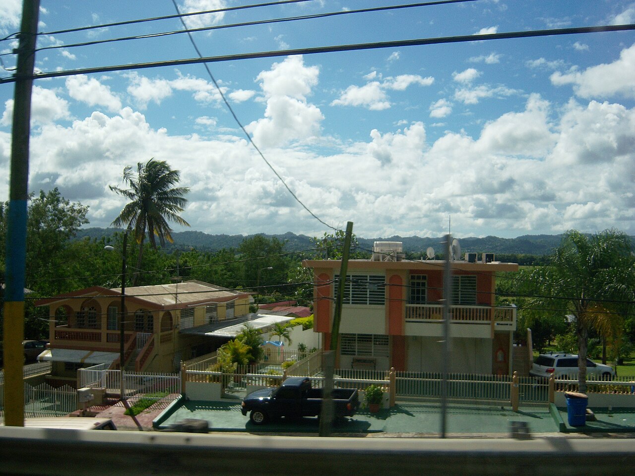 A fenced residential yard in a quiet neighborhood
